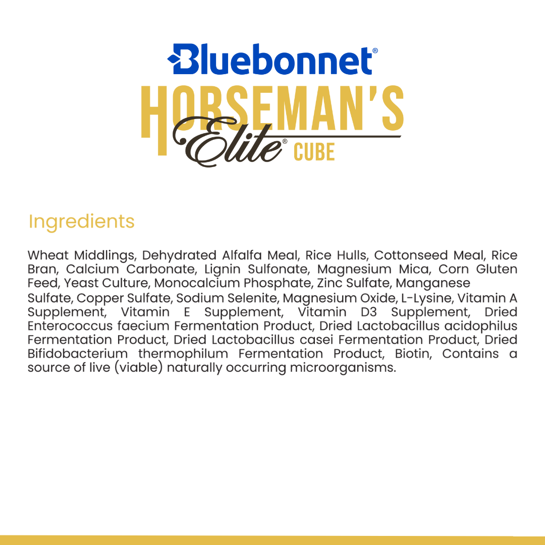 Horseman's Elite® Horse/Mare Cubes