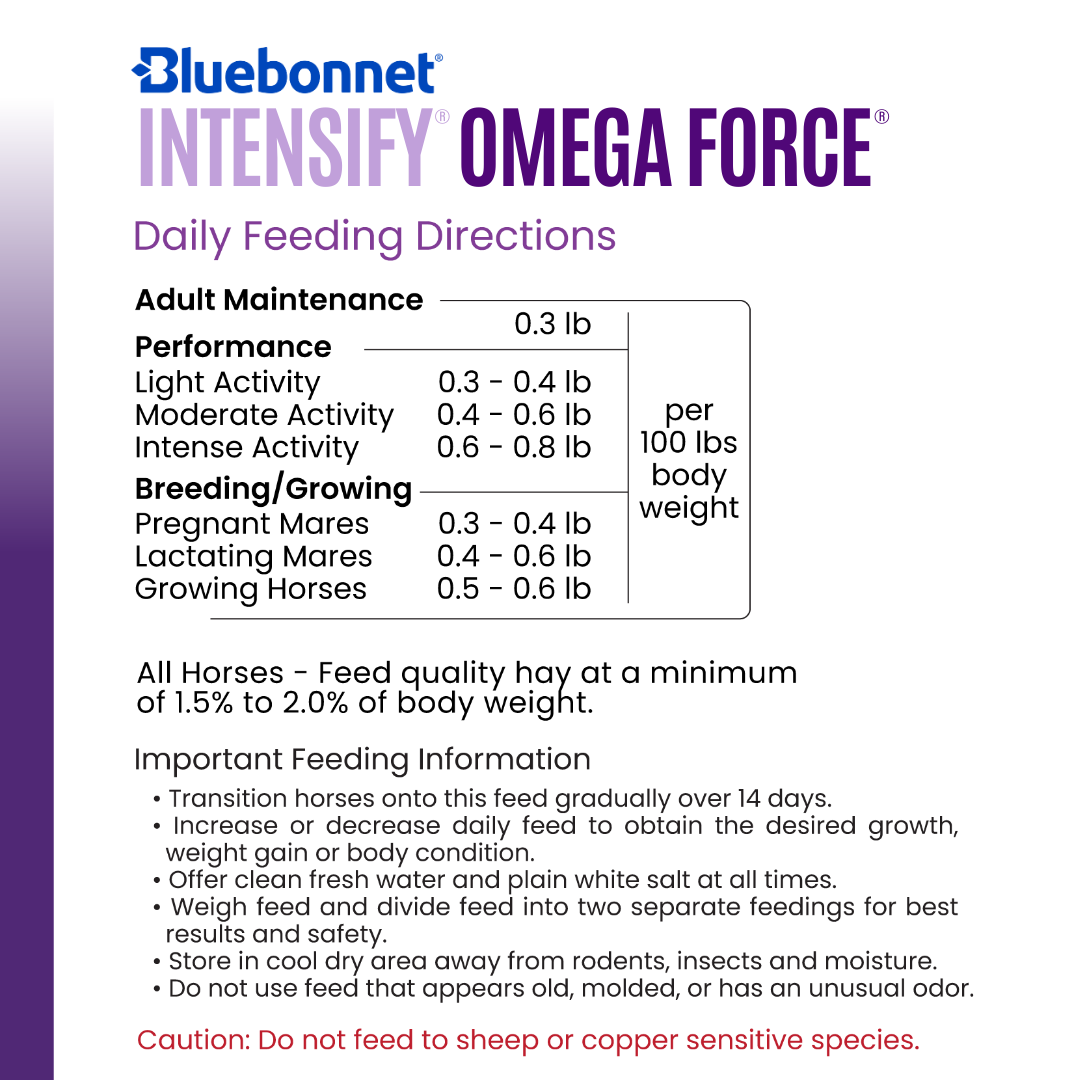 Intensify® Omega Force®