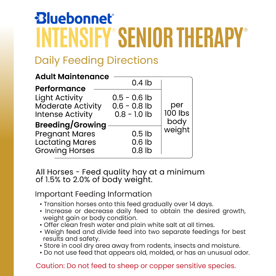 Intensify® Senior Therapy