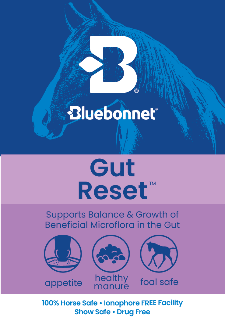 LABEL - Gut Reset Paste