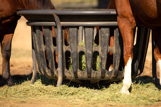 5 Considerations for your Horse when Facing Hay Shortages