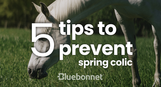 5 Tips to Prevent Spring Colic