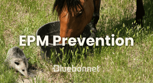 EPM Prevention and Support