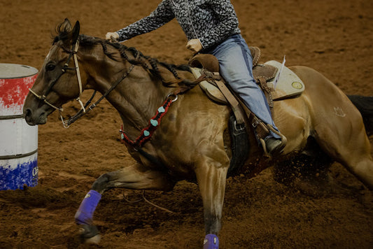 Leaky Gut Syndrome in Barrel Horses