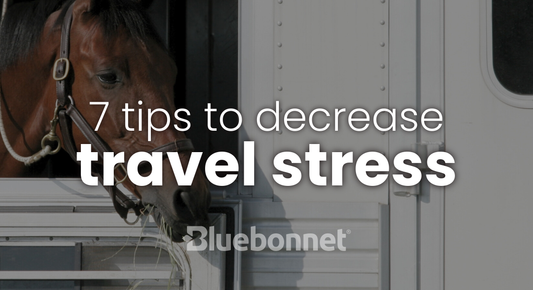 7 Tips to Decrease Travel Stress