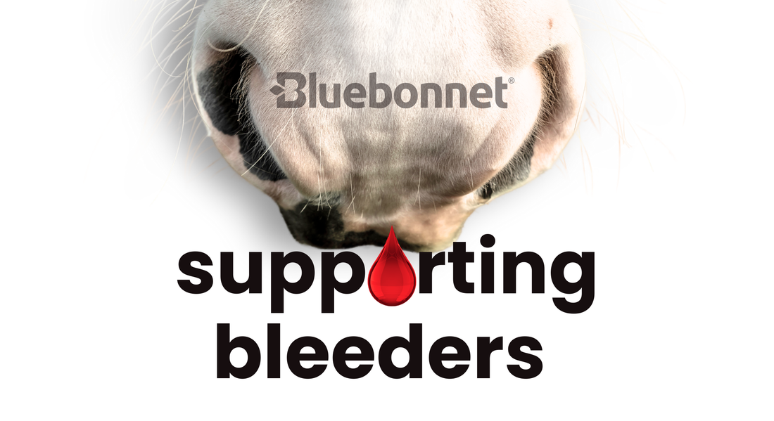 Supporting Bleeders