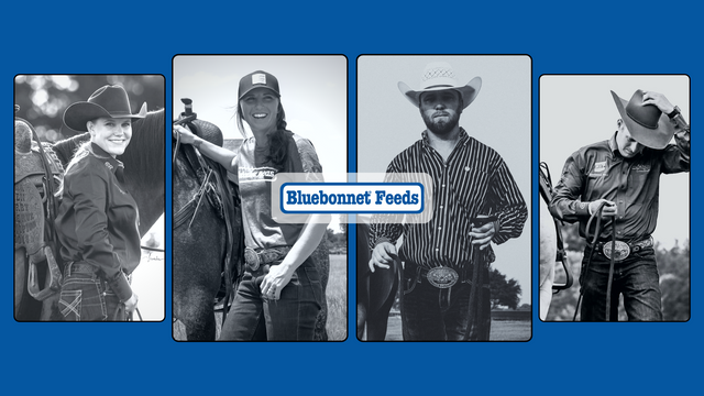 No Gambling Allowed: Watch Bluebonnet Feeds in Action when these 2 Cow Horse Stars Head Down the Fence in Vegas