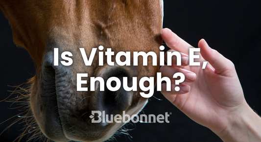 Is Vitamin E, Enough?