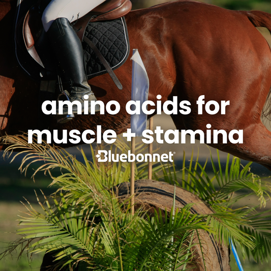 Amino Acids for Muscle + Stamina