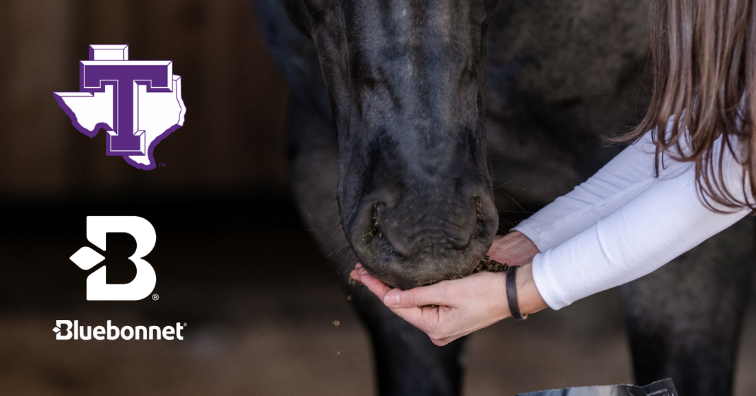 Bluebonnet® Partners with Tarleton State University to Fuel Fall 2025 Equine Sales Preparation & Marketing Class