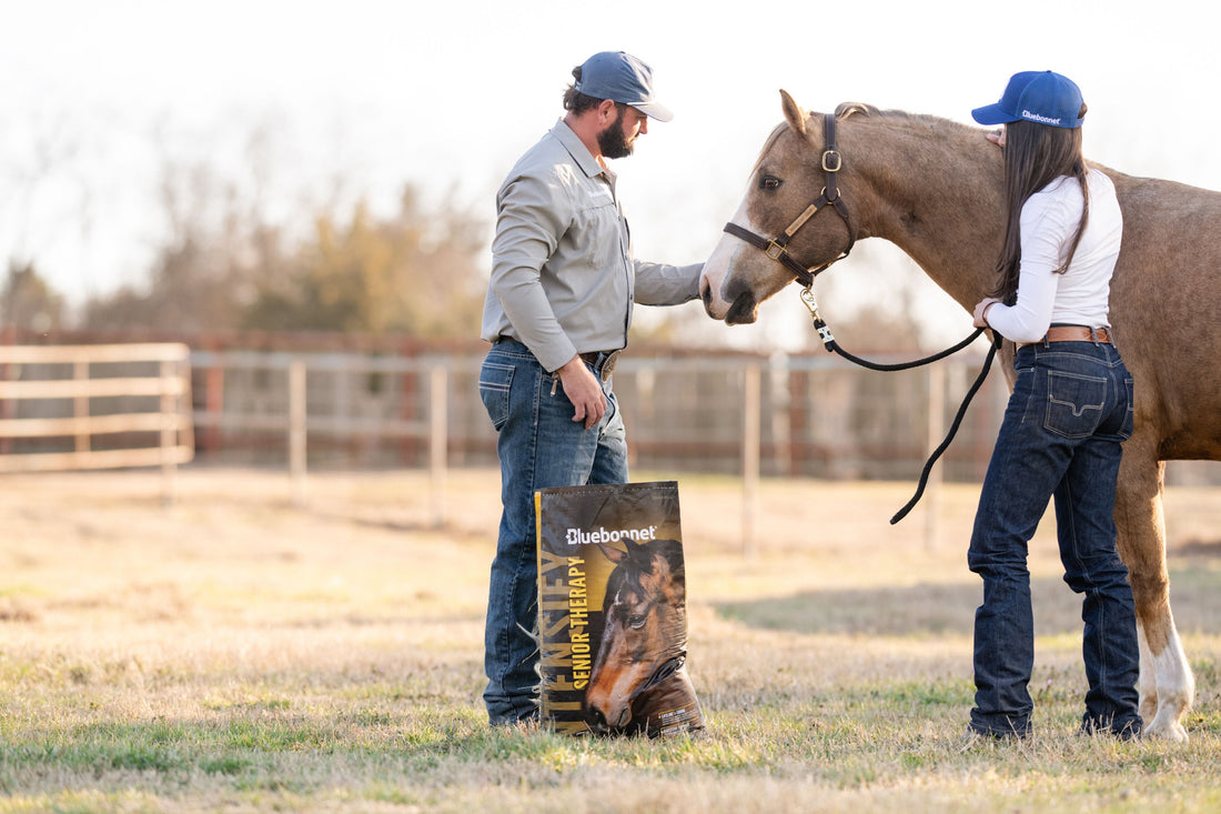 Senior Horse Nutrition