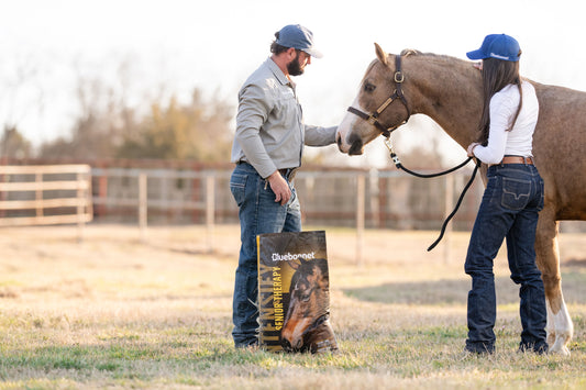 Senior Horse Nutrition