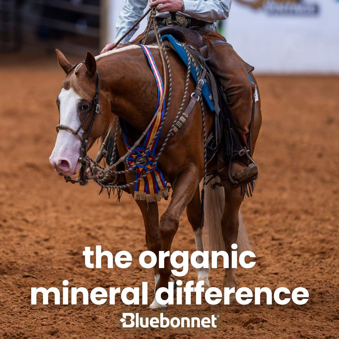 A rider on a horse, promoting organic mineral difference.