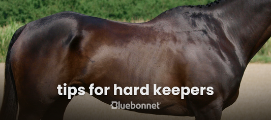 A horse's body with text overlay: "tips for hard keepers.