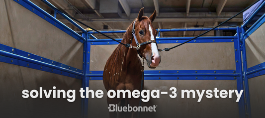Solving the Omega-3 Mystery
