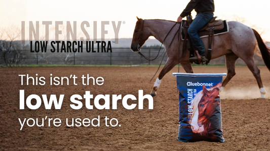 Bluebonnet® Launches Intensify® Low Starch Ultra™, a Breakthrough in Controlled-Carbohydrate Equine Nutrition