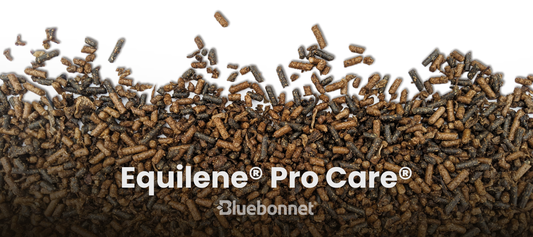 Equilene Pro Care