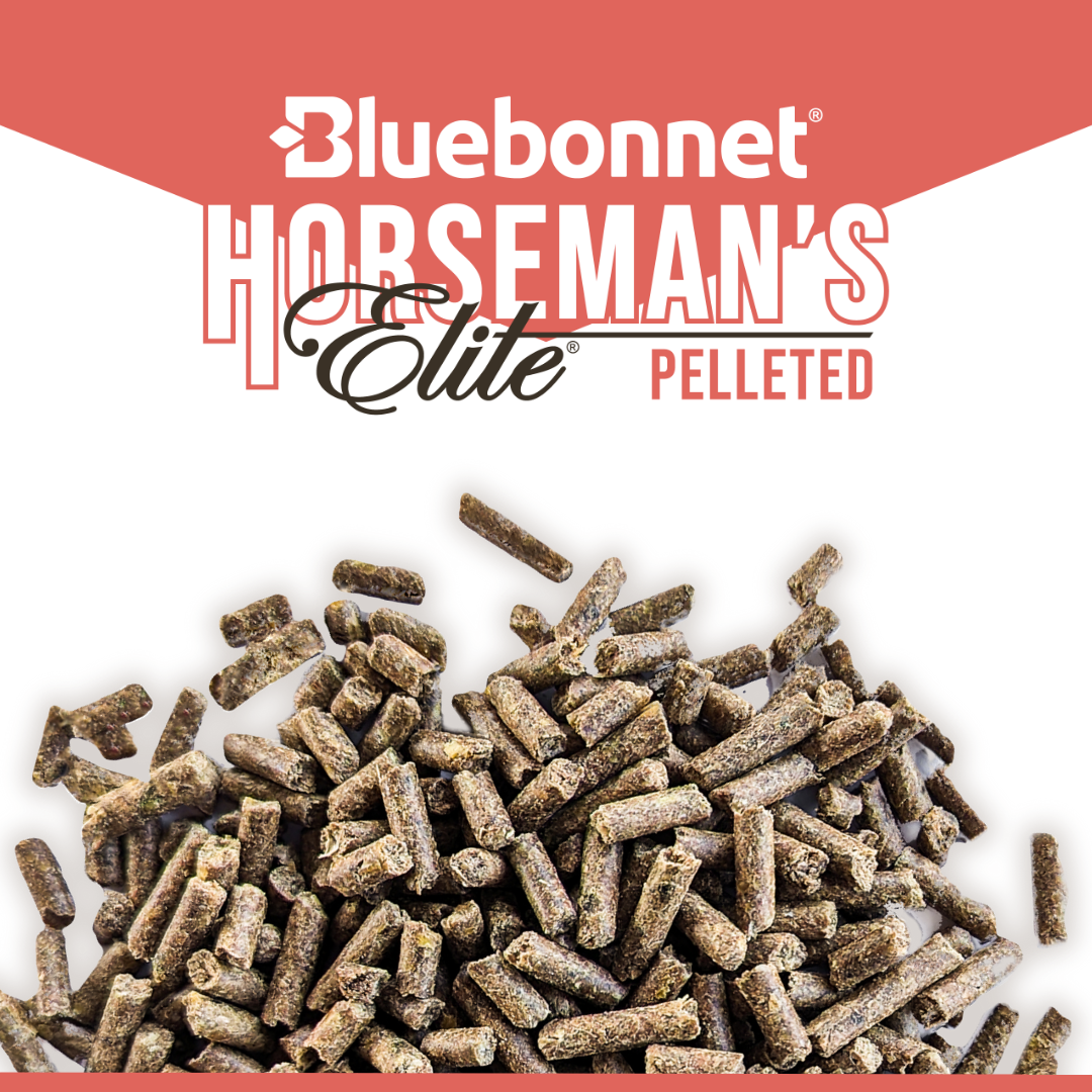 Horseman's Elite® Pelleted