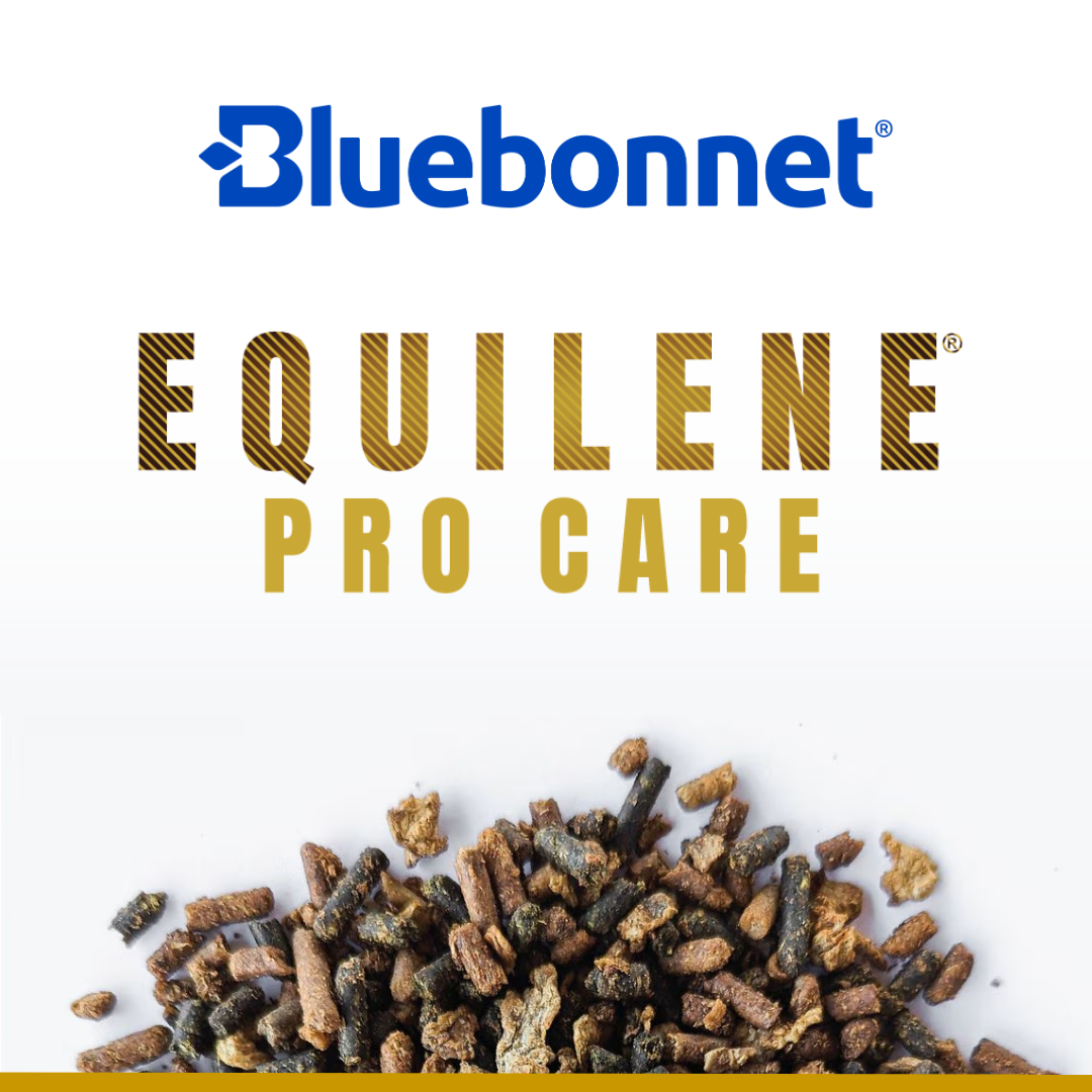 Equilene Pro Care | Beet pulp-based feed with maximized digestive support. Bluebonnet Equilene Pro Care | Beet pulp-based feed with maximized digestive support. Bluebonnet