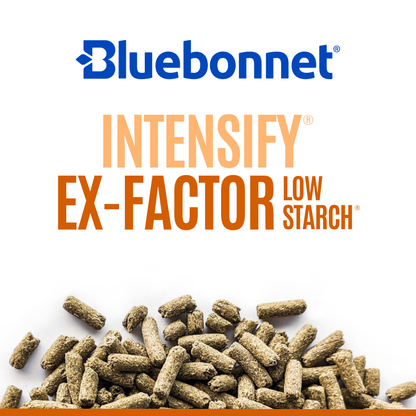 Intensify® Ex-Factor® Low Starch