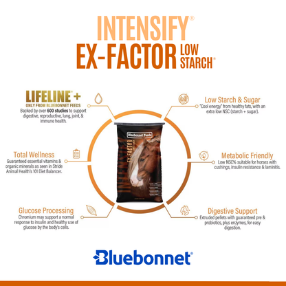 Intensify® Ex-Factor® Low Starch