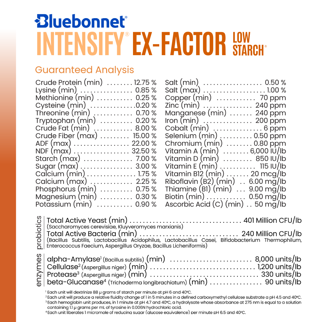 Intensify® Ex-Factor® Low Starch