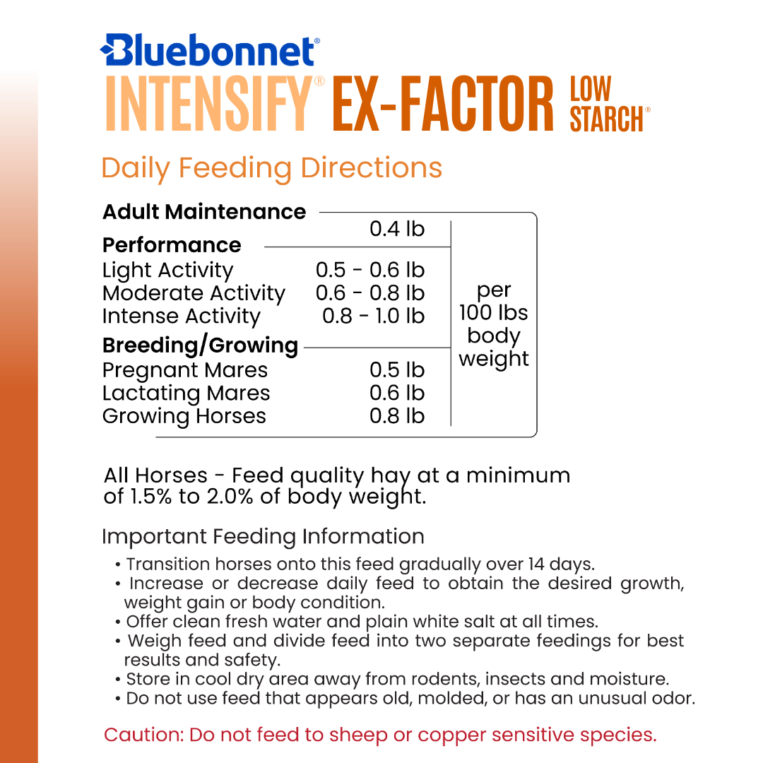 Intensify® Ex-Factor® Low Starch