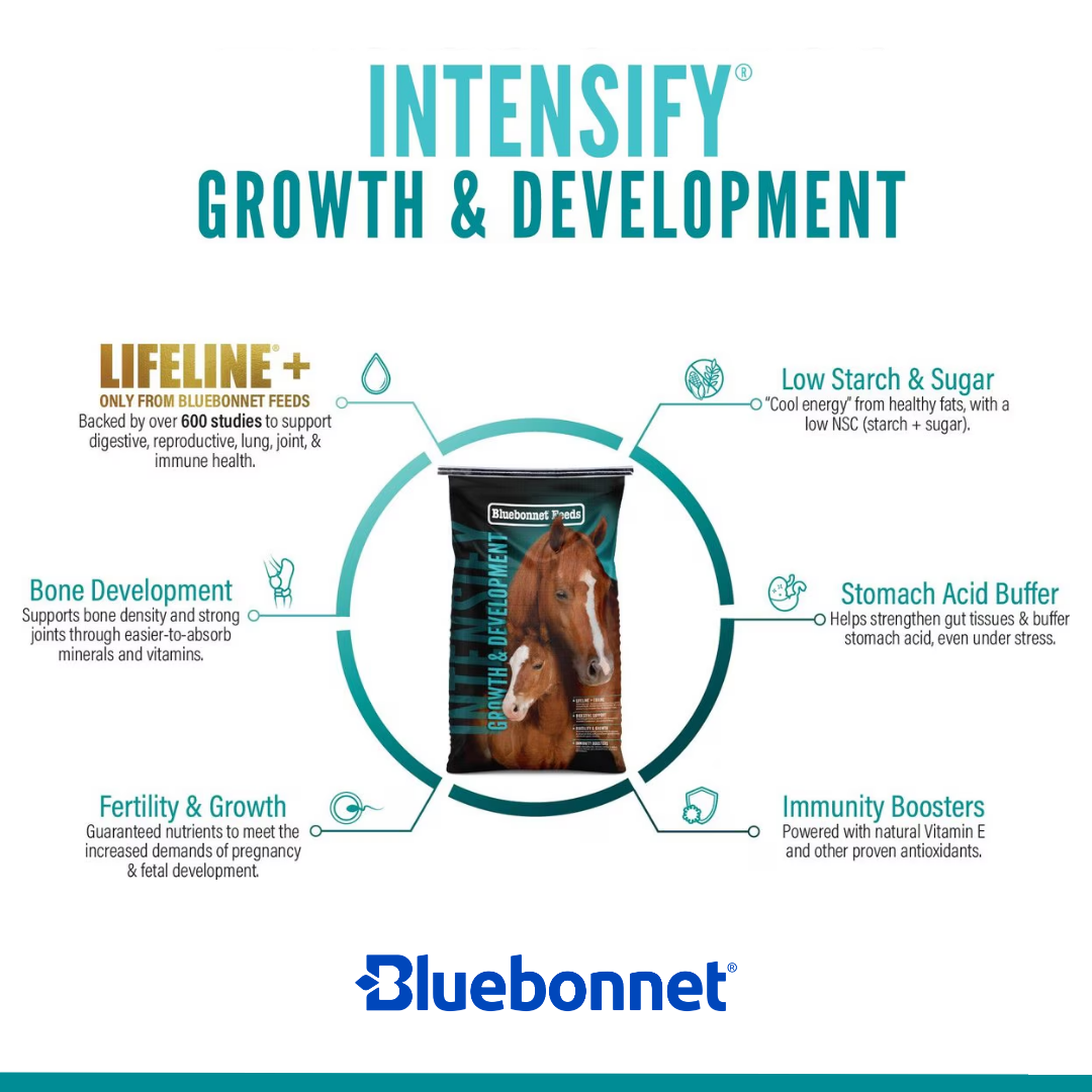 Intensify® Growth & Development