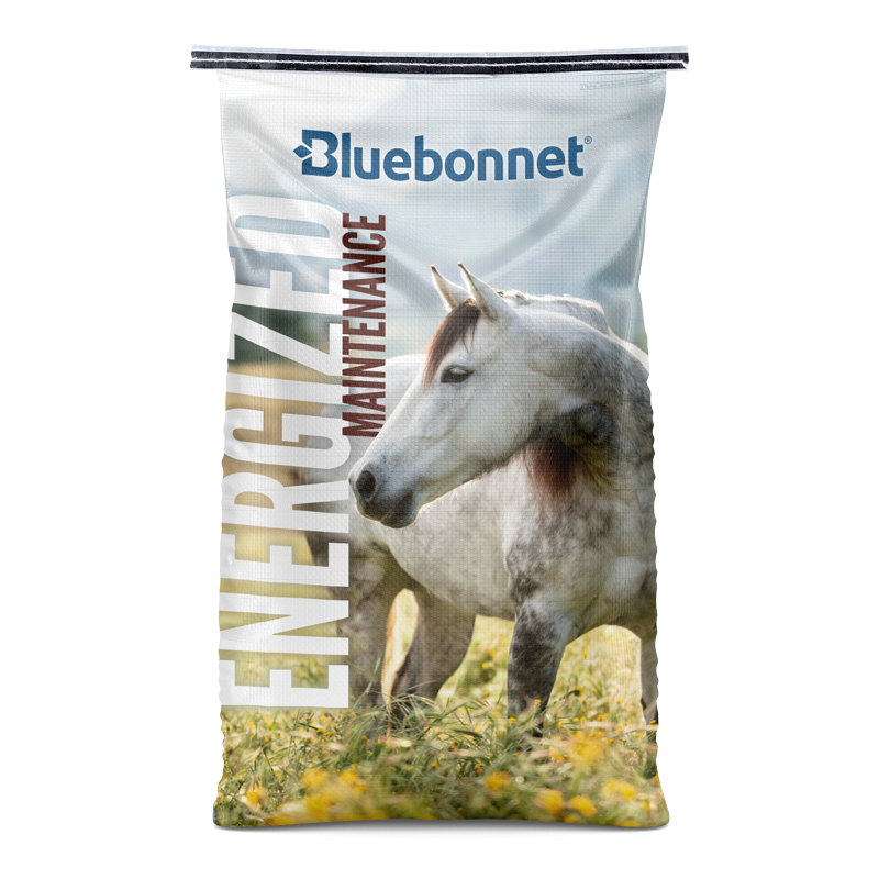 Energized® Maintenance