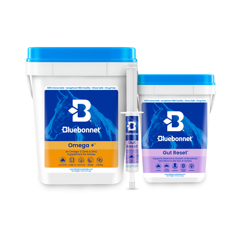 Hind Gut Rescue Program™