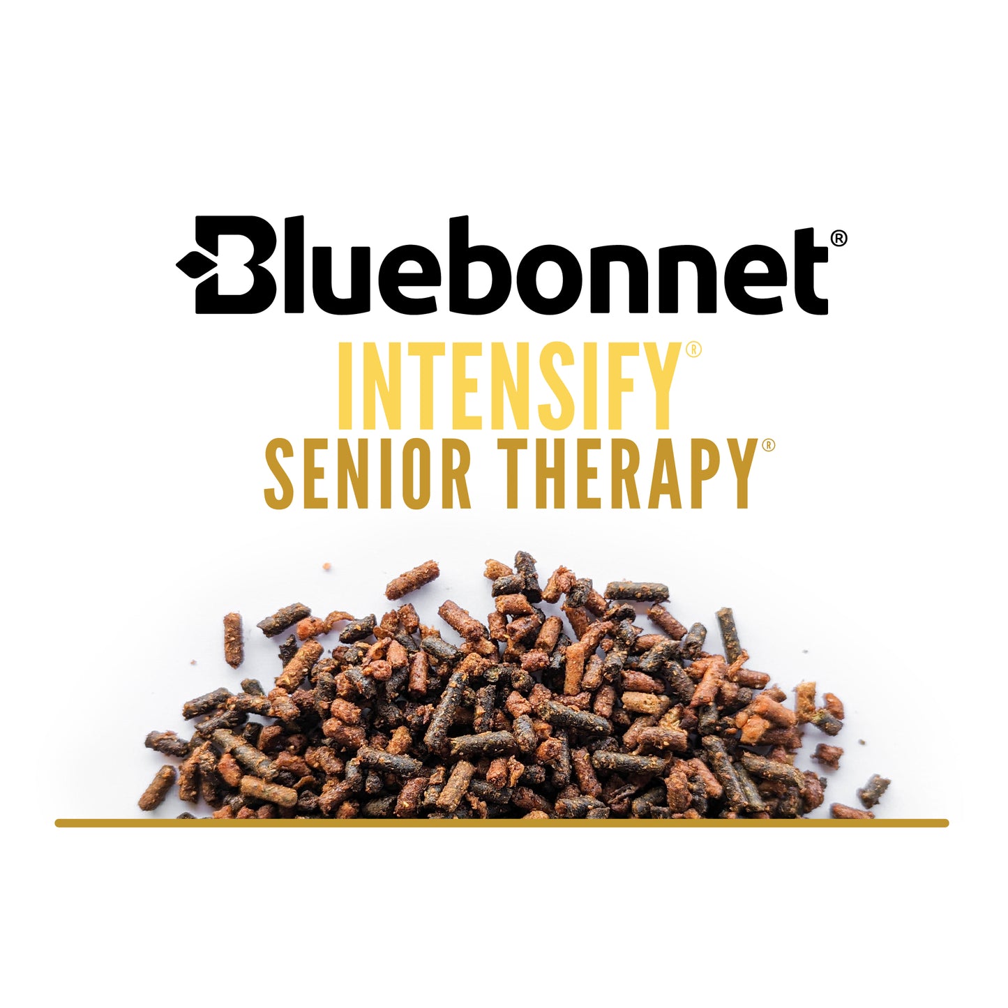 Intensify® Senior Therapy