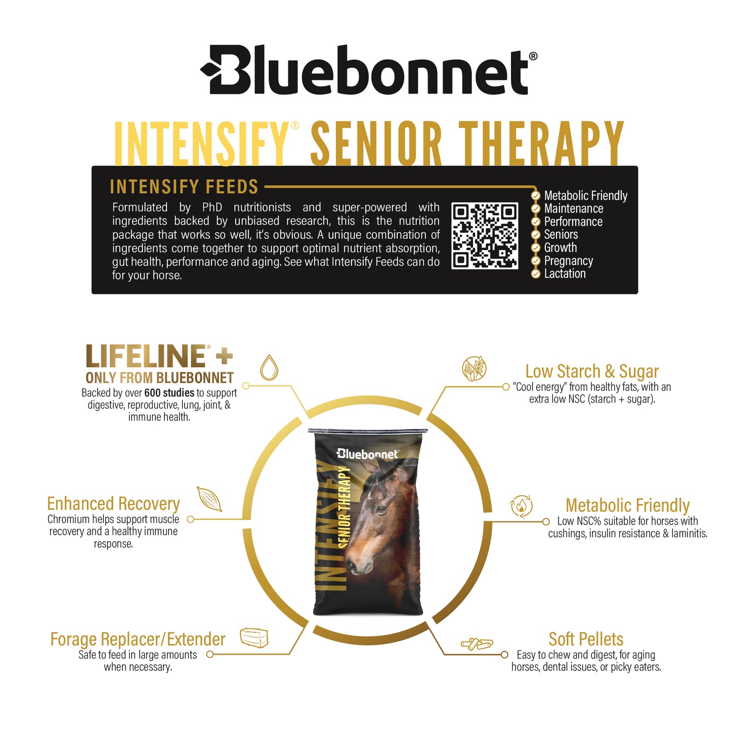 Intensify® Senior Therapy