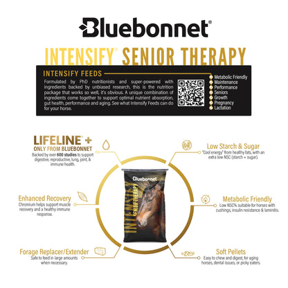 Intensify® Senior Therapy