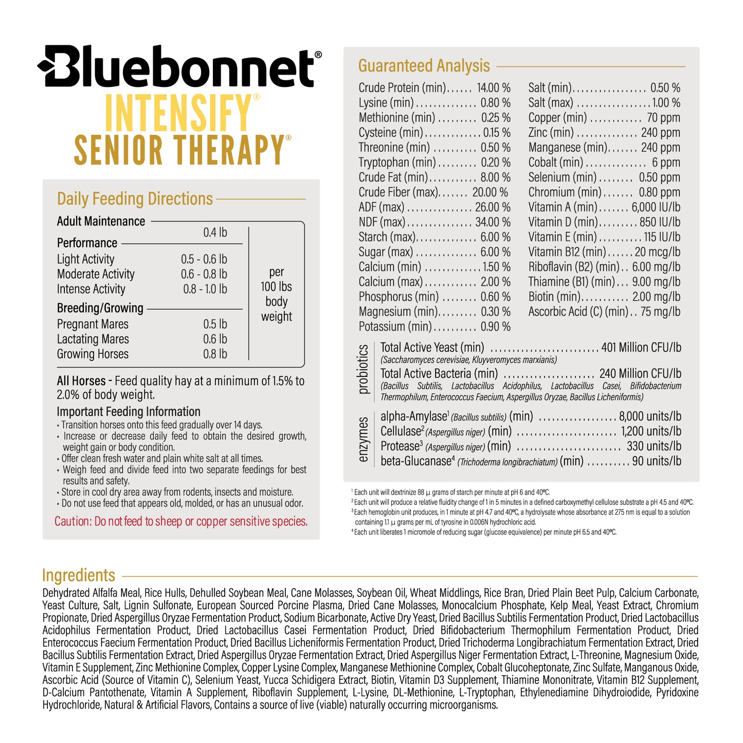 Intensify® Senior Therapy