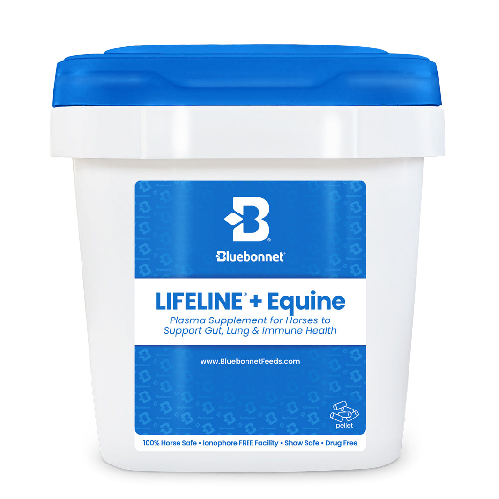 LIFELINE®+ Equine