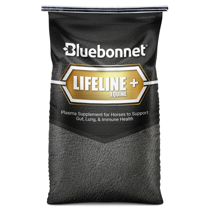 LIFELINE®+ Equine