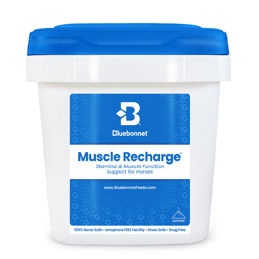 Muscle Recharge™ (Moving Up)