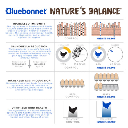 Nature's Balance® Egg Booster Nibblets