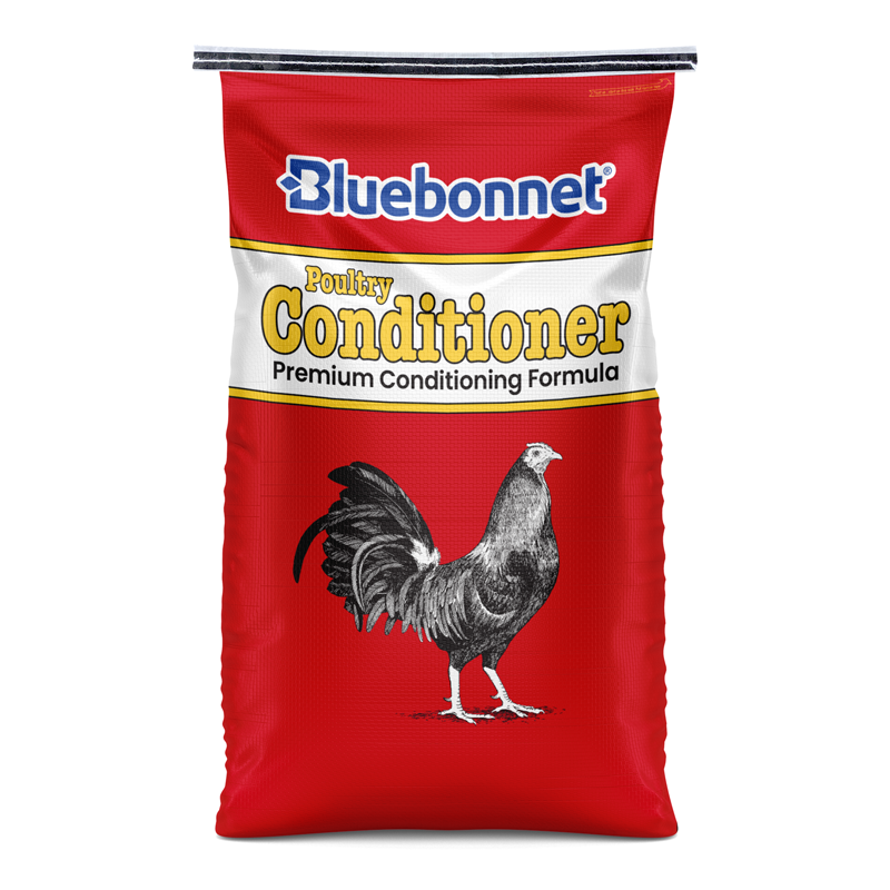 Other Animals – Bluebonnet