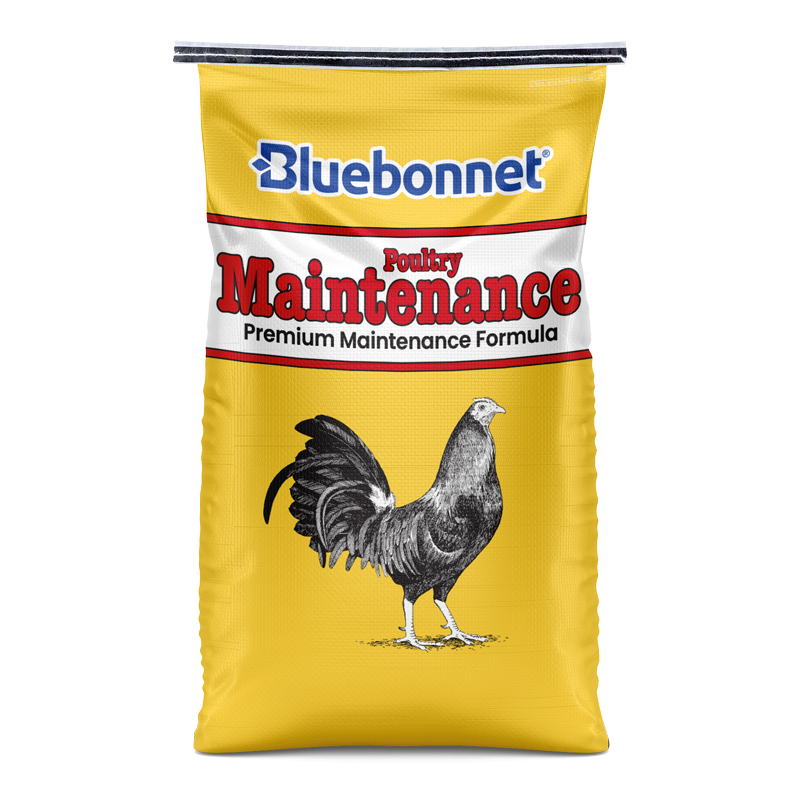Poultry Maintenance 14%