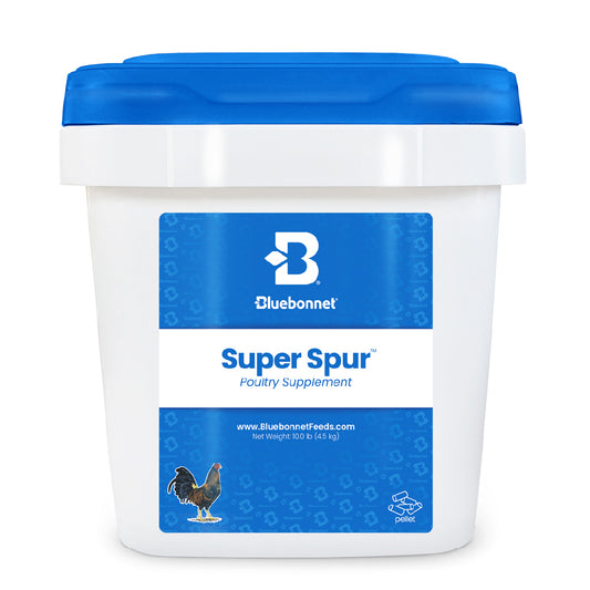 Super Spur™ Poultry Supplement