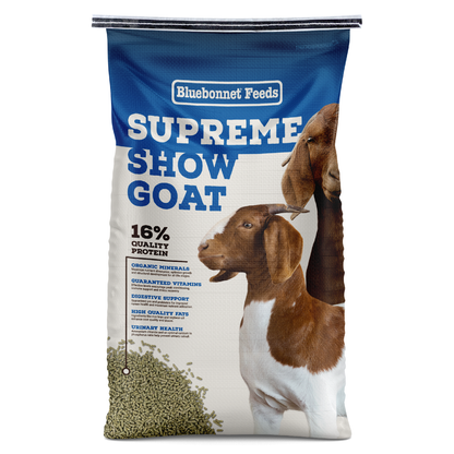 Supreme Show Goat