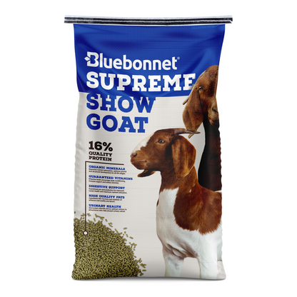 Supreme Show Goat