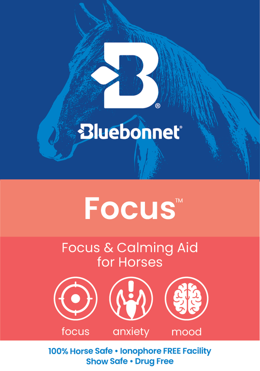 LABEL - Focus Paste