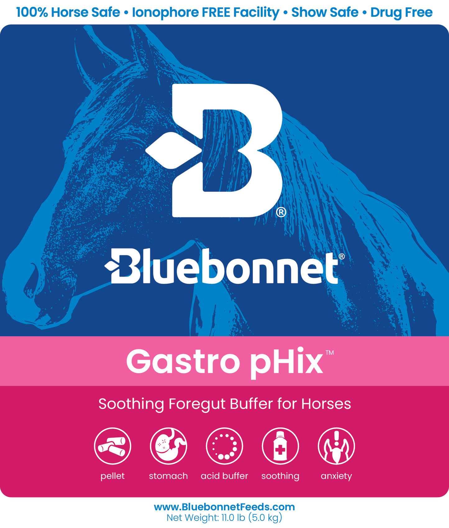 LABEL F&B - Gastro pHix 11#