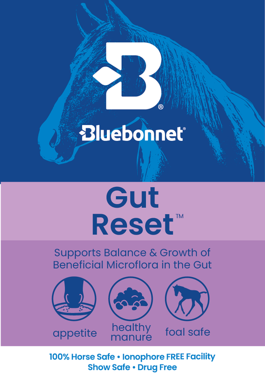 LABEL - Gut Reset Paste