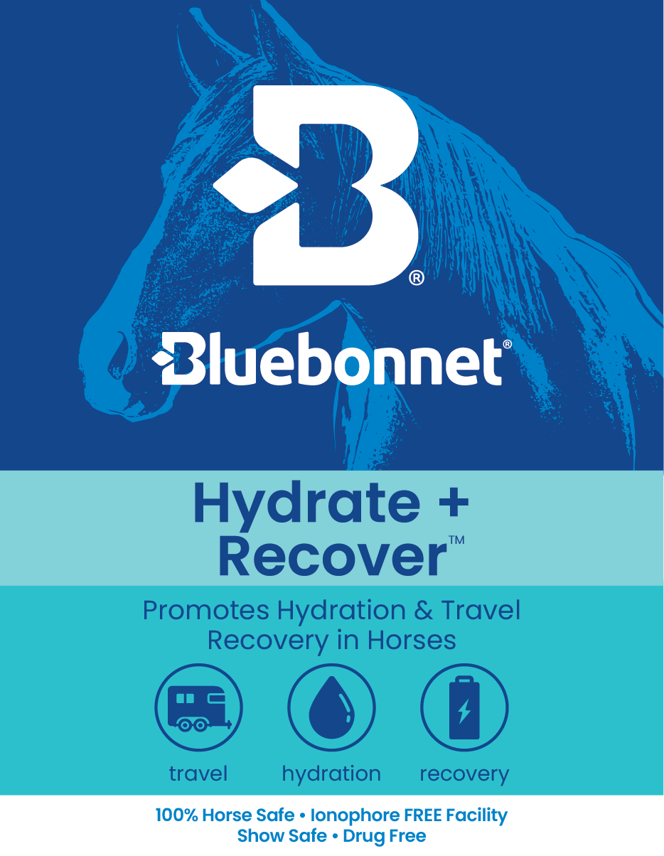 LABEL - Hydrate + Recover Paste