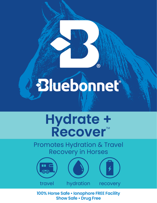LABEL - Hydrate + Recover Paste