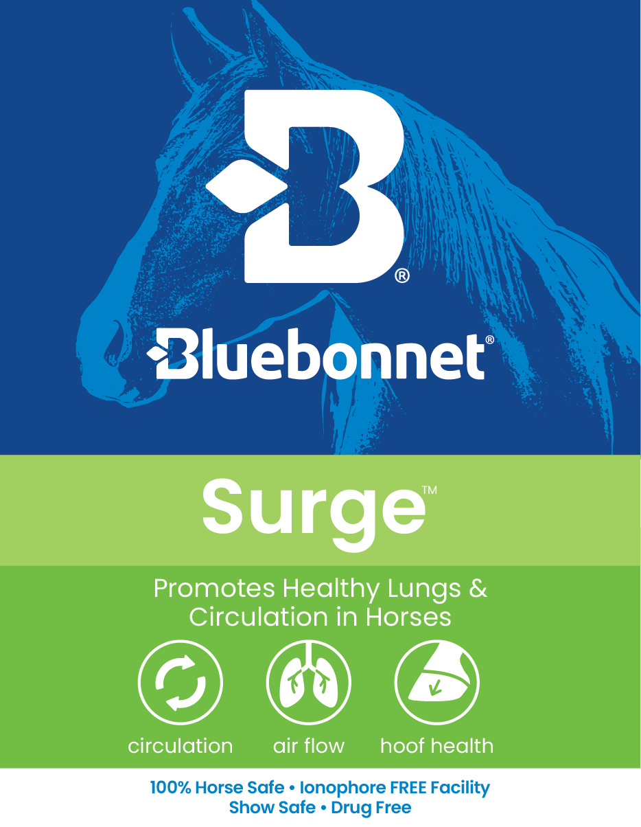 LABEL  - Surge Paste