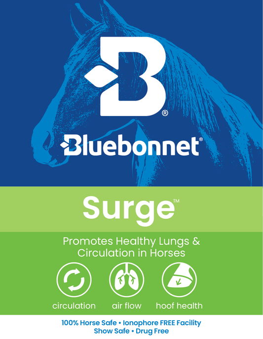LABEL  - Surge Paste